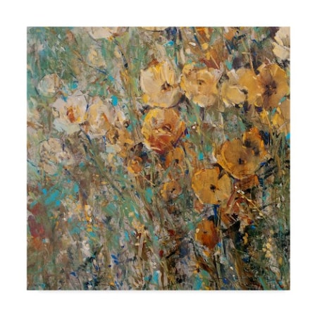 Tim Otoole 'Amber Poppy Field I' Canvas Art,35x35